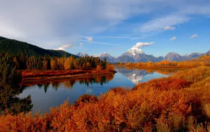 Download Autumn Wallpaper Wallpaper