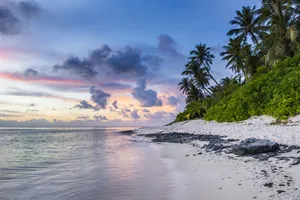 Download Beach Wallpaper Wallpaper
