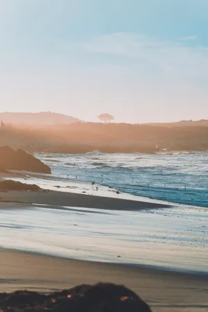 Download Beach Wallpaper Wallpaper