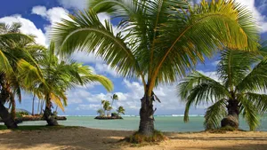 Download Beach Wallpaper Wallpaper