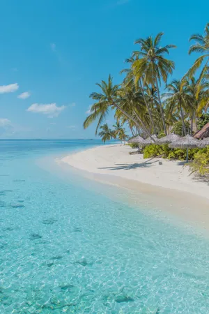 Download Beach Wallpaper Wallpaper