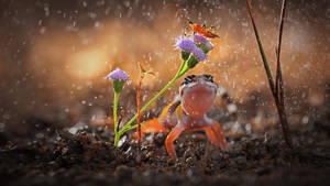 Download Bing Wallpaper Wallpaper