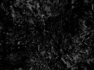 Download Black And White Wallpaper Wallpaper