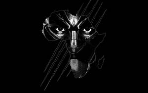 Download Black Panther Wallpaper
