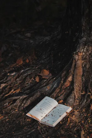 Download Book Wallpaper Wallpaper