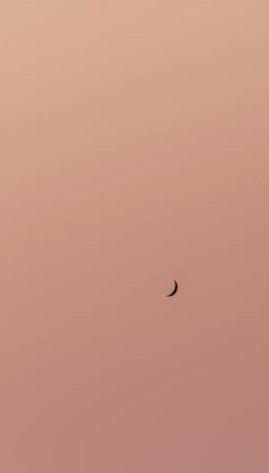 Download Brown Wallpaper Wallpaper