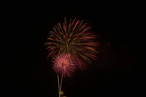 Download Celebrities Wallpaper Wallpaper