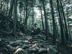 Download Chelsea Wallpaper Wallpaper