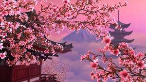 Download Cherry Blossom Wallpaper Wallpaper