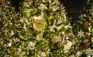 Download Christmas Tree Wallpaper Wallpaper
