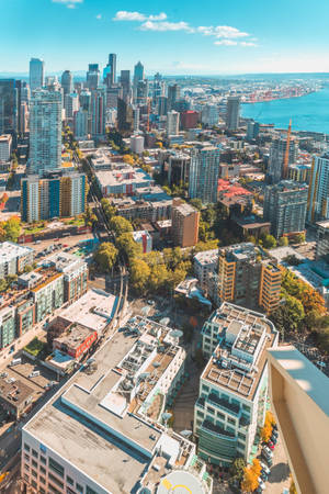 Download City Wallpaper Wallpaper