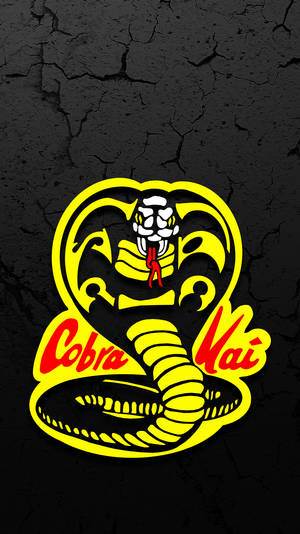 Download Cobra Kai Wallpaper Wallpaper