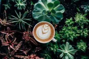 Download Coffee Wallpaper Wallpaper