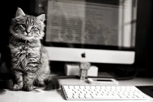 Download Computer Wallpaper Wallpaper