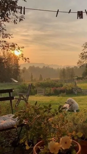 Download Cottagecore Wallpaper Wallpaper