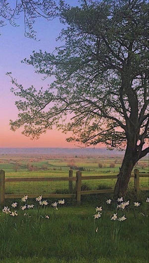 Download Cottagecore Wallpaper Wallpaper