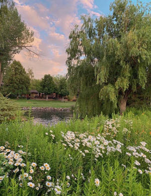 Download Cottagecore Wallpaper Wallpaper