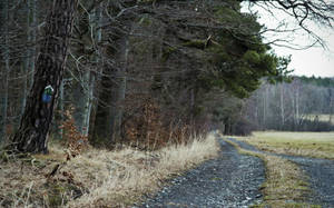 Download Country Wallpaper Wallpaper