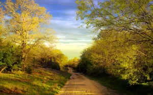 Download Country Wallpaper Wallpaper
