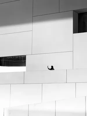 Download Dabi Wallpaper Wallpaper