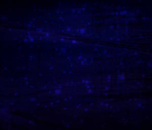 Download Dark Blue Wallpaper Wallpaper