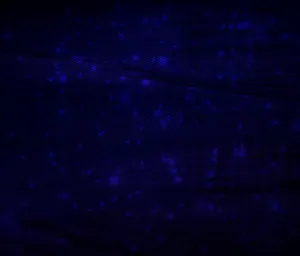 Download Dark Blue Wallpaper Wallpaper