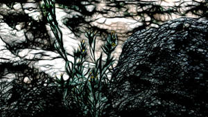 Download Dark Wallpaper Wallpaper