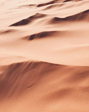 Download Desert Wallpaper Wallpaper