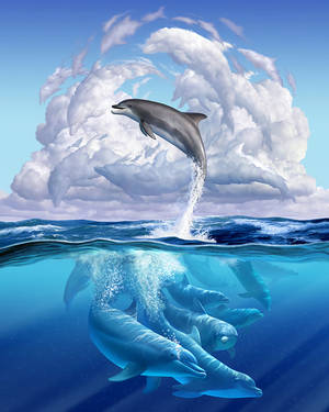 Download Dolphin Wallpaper Wallpaper