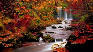 Download Fall Wallpaper Wallpaper