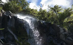 Download Fall Wallpaper Wallpaper