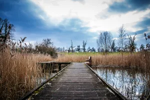 Download Fall Wallpaper Wallpaper