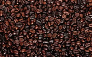 Download Food Wallpaper Wallpaper