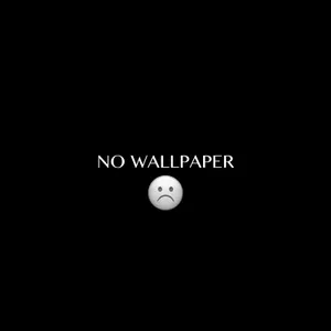 Download Funny Wallpaper Wallpaper