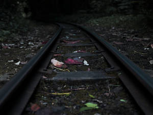 Download Goth Wallpaper Wallpaper