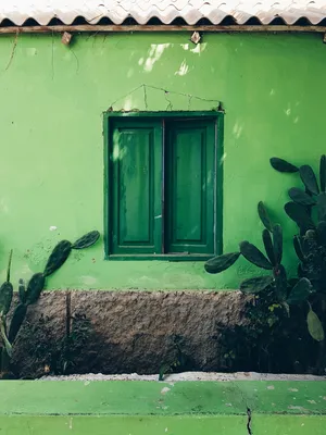 Download Green Wallpaper Wallpaper