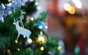 Download Holiday Wallpaper Wallpaper