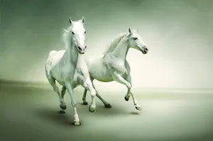 Download Horse Wallpaper Wallpaper