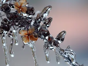 Download Ice Wallpaper Wallpaper