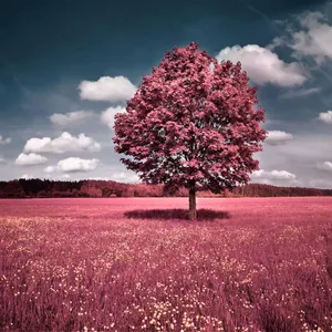 Download Ipad Wallpaper Wallpaper