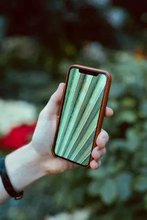 Download Iphone X Wallpaper Wallpaper