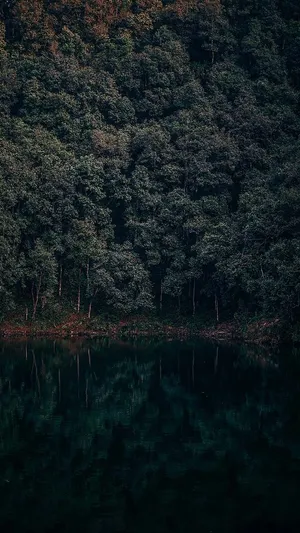 Download Iphone Xr Wallpaper Wallpaper