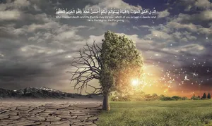 Download Islamic Wallpaper Wallpaper