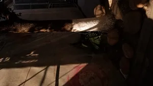 Download Kylo Ren Wallpaper Wallpaper