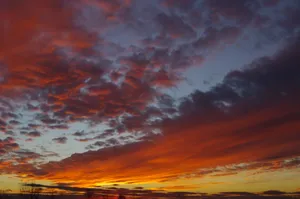 Download Landscape Wallpaper Wallpaper