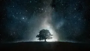 Download Landscape Wallpaper Wallpaper
