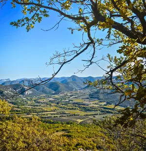Download Landscape Wallpaper Wallpaper