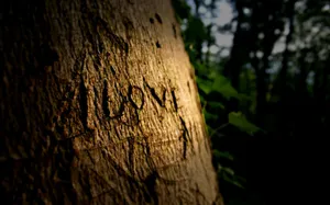 Download Love Wallpaper Wallpaper