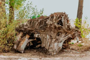 Download May Wallpaper Wallpaper