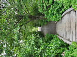 Download Miles Morales Wallpaper Wallpaper